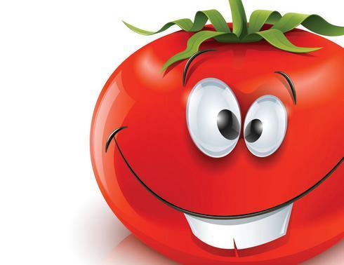 可以和很多菜一起搭配,如西红杮炒土豆片,西红杮炖豆腐,西红杮烧茄子