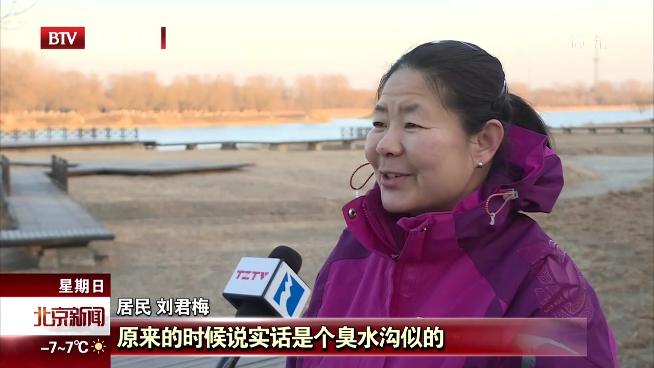 北京：千余野鸭大运河森林公园过冬