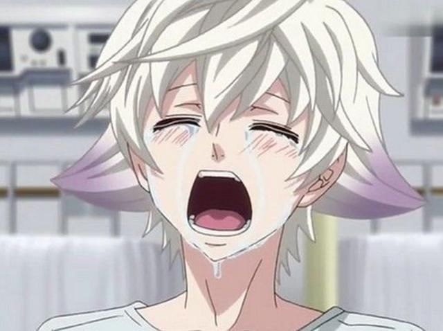 二星座眼泪价值多少?双子座的值30万,最可怜是