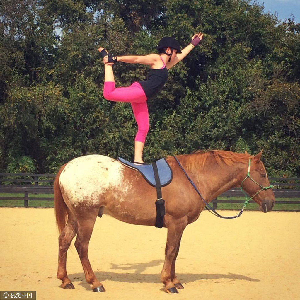 组图-美女马背上做瑜伽 高难度动作大秀技巧