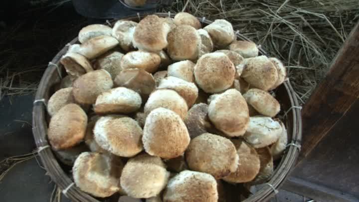 《乡味》——大仪草炉烧饼:火炉里的美食 《乡味》——大仪草炉烧饼:火炉里的美食