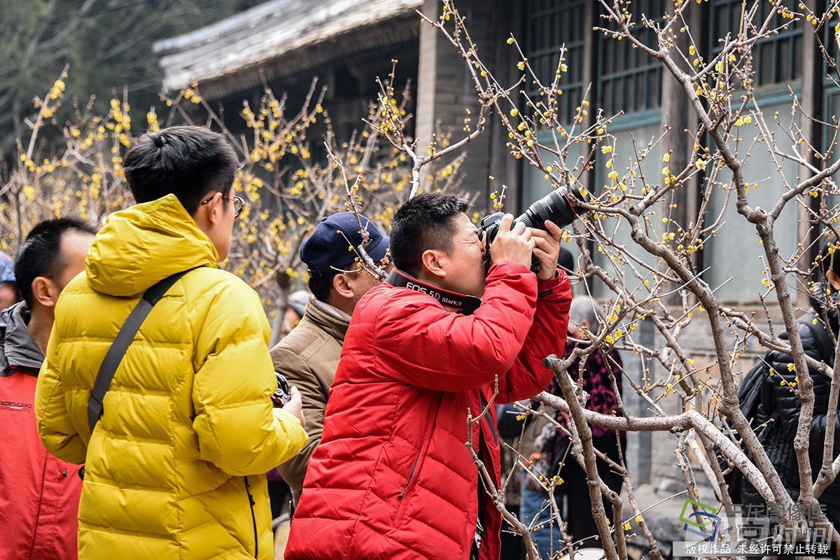 春暖北京 又待一年山花烂漫时 春暖北京 又待一年山花烂漫时