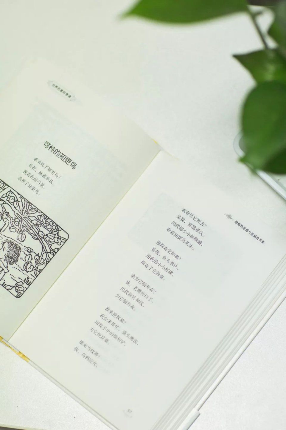 马伊俐女儿夺冠,黄多多10岁用英文写剧本:精英