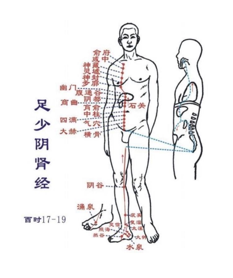 按摩这几个穴位,补肾调经、防治阳痿提高性功