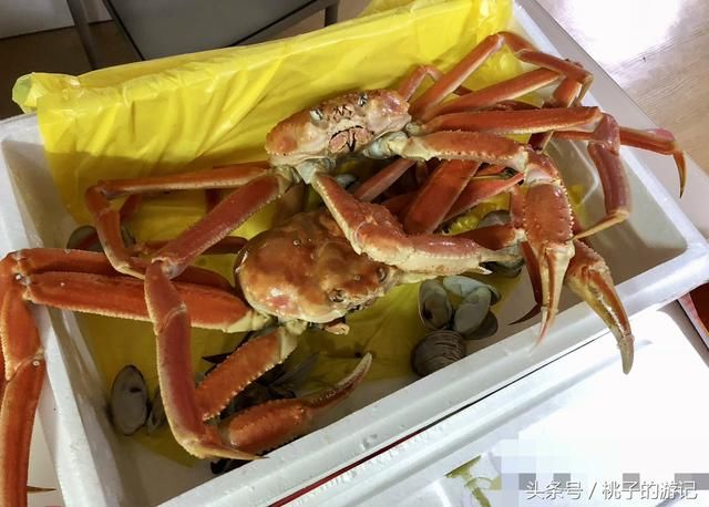 没想到韩国的小龙虾和西瓜竟然都这么贵!谁骗