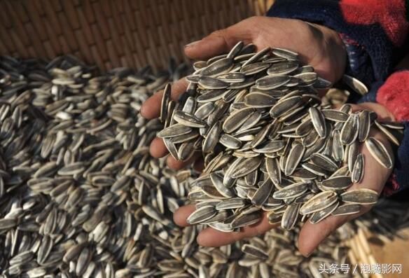 老汉进城卖瓜子,大妈贪便宜蜂拥而至,结果中圈