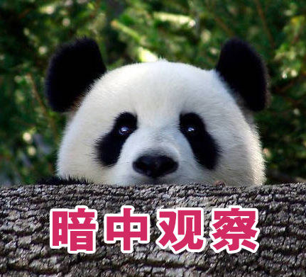 无水印大熊猫表情包 什么都瞒不过我沧桑的小