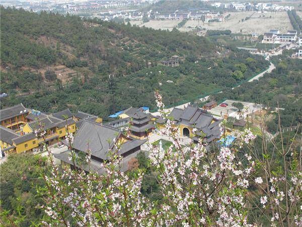 千树万树梨花开,苏州赏梨花的好地方,请收好!