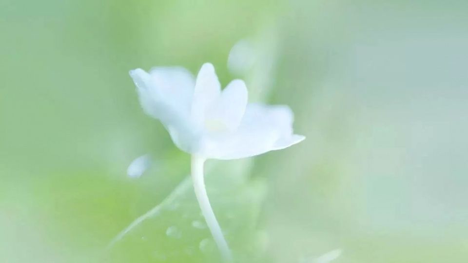 家有考生 | 想要拿高分,这十大高考答题禁忌千万