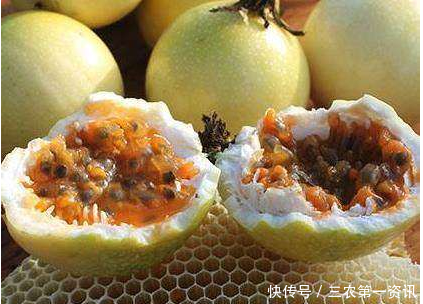 全是籽没有肉的水果,比百香果贵5倍,农民种植