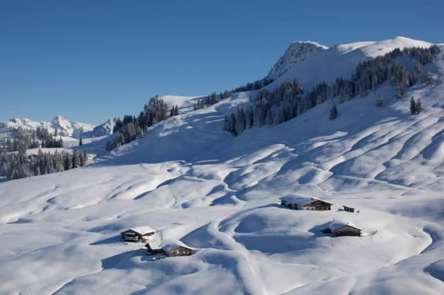这个国家和重庆面积相当,人口不及哈尔滨,但却