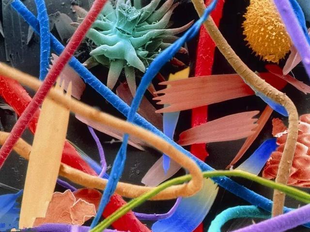 世界过敏日:常年过敏性鼻炎该如何彻底治疗