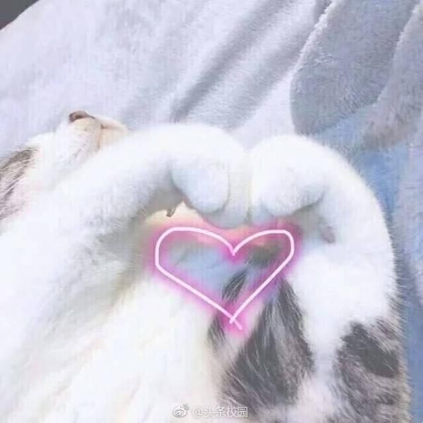 女教师昏迷30天 醒来第一句:我们班学生谁管