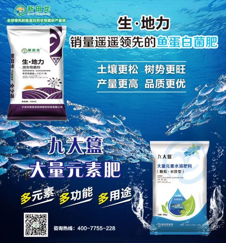 【农财网柑价】春节将至,沙糖橘订货减少,价格