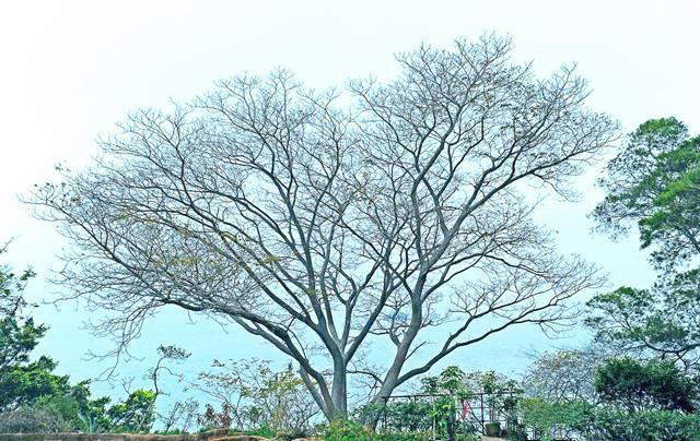 2018年厦门旅游攻略,几月去厦门旅游舒适?厦