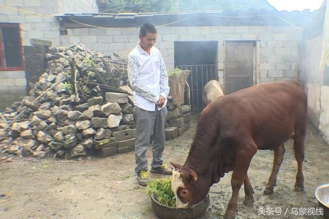 贵州六枝|贷款5万元搞养殖,两年后贫困户主动写