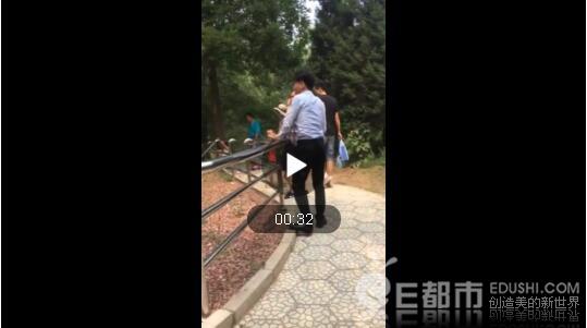 游客拿石头猛砸老虎 北京大兴野生动物园打虎