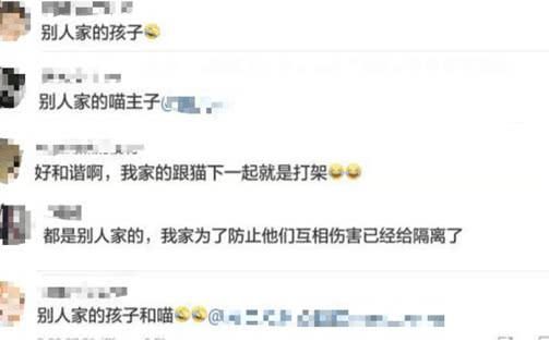 2岁半宝宝给猫咪讲睡前故事,画面超萌!网友:别