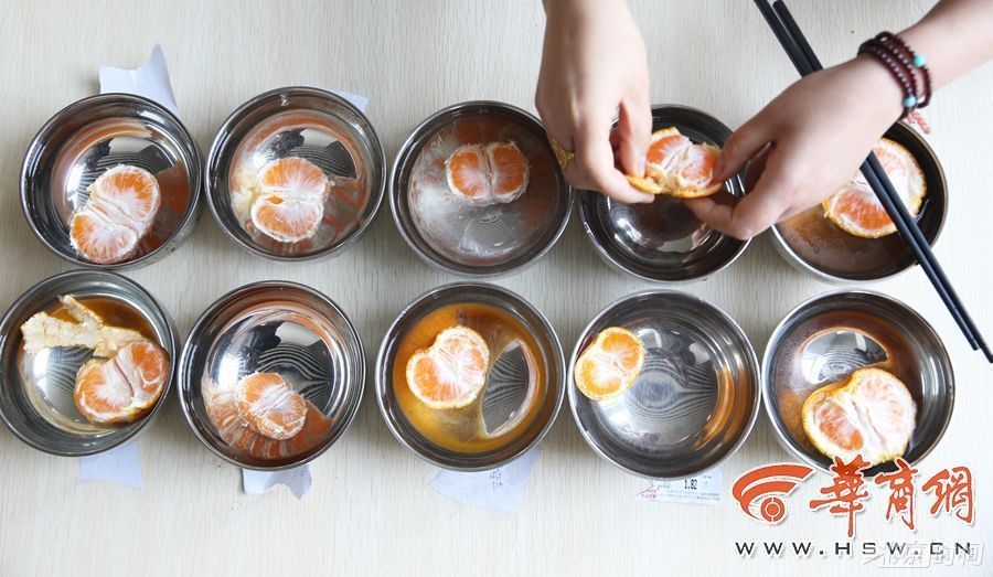 橘子有虫?实验:10个地方橘子用盐水浸泡没发现