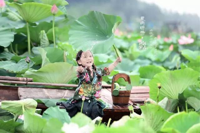 嫩荷随风摇摆的姿态,刹时,皱起一湖碧水,绿罗碎影逐波来,五月船头采莲