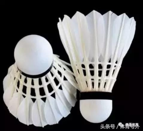 羽毛球课堂:羽毛球的冷知识!羽毛球为什么16根