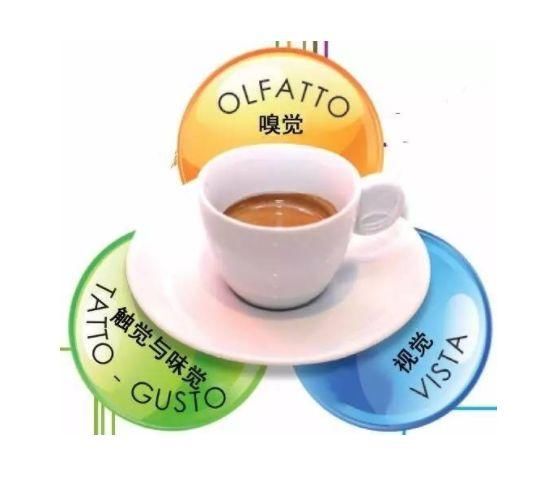 意式咖啡品鉴|一杯意式浓缩咖啡如何符合标准