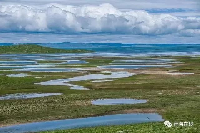占了长江总水量的25%,黄河总水量的49%,澜沧江总水量的15%.