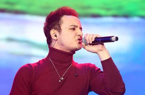 童星阿尔法秃顶,是名字的问题?网友回答亮了!