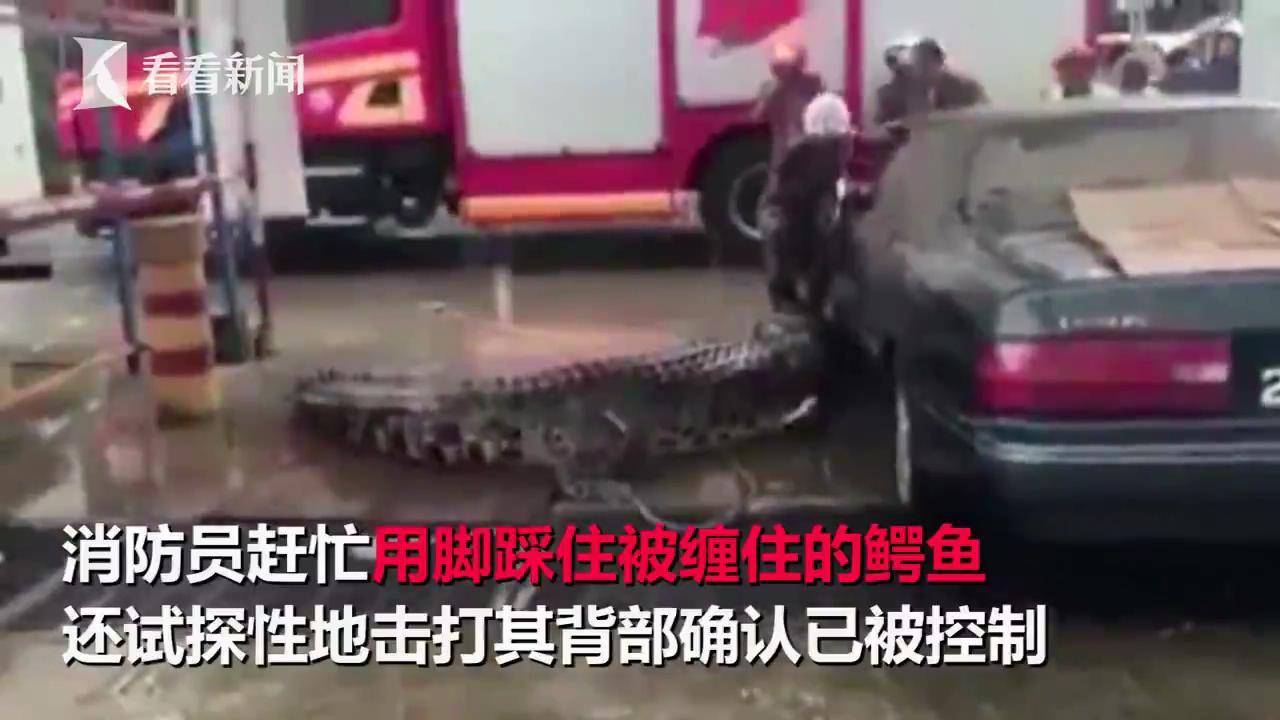 图为现场。