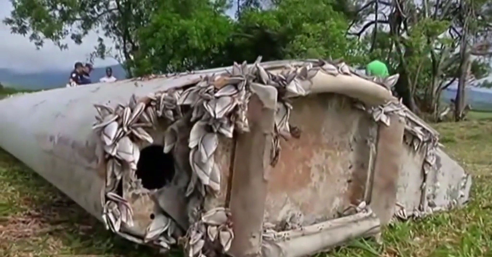 （视频截图）当地时间2015年7月29日，位于印度洋西南端的法属留尼汪岛发现疑似MH370残骸机翼残骸，当地居民称这块残骸长达2米，是在清理海滩时发现的，目击者称残骸表面覆盖有贝壳，显然在水中浸泡过很长时间。