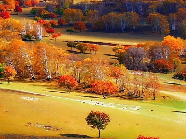 有钱与没钱的现实(句句戳心)