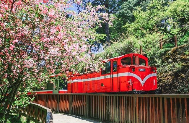 2018台湾阿里山旅游攻略,乘坐森林小火车带你