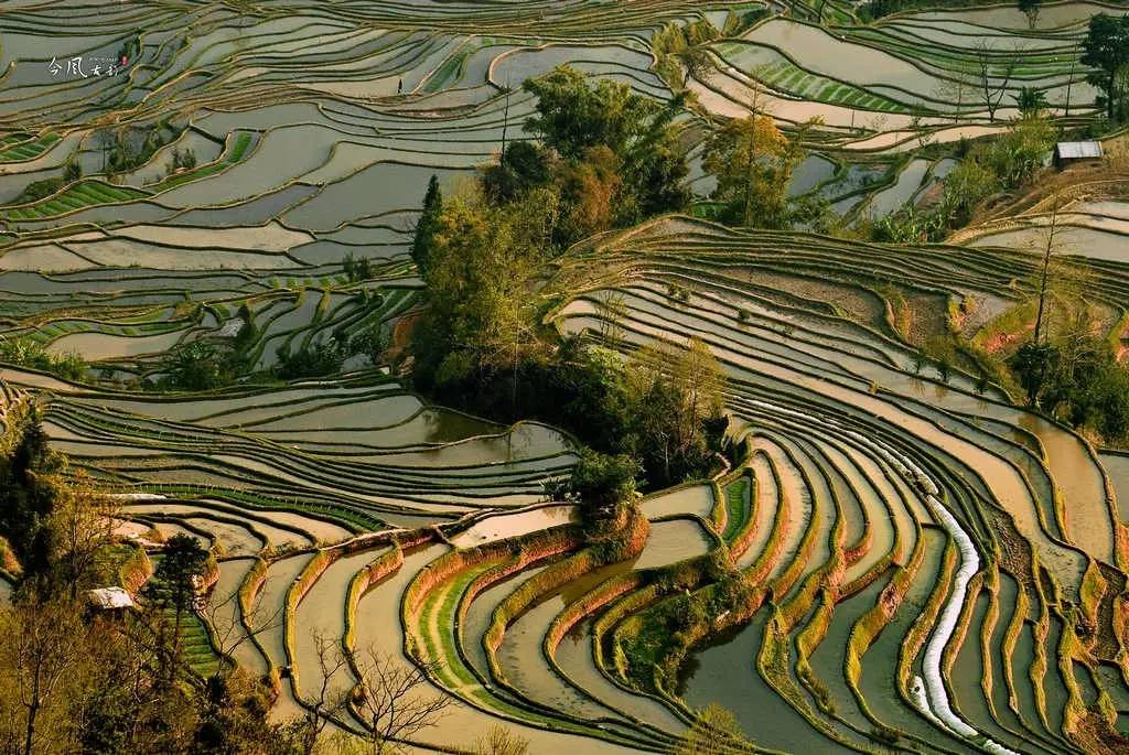 t01e81ab6dfb14d99ae.jpg?size=1024x685