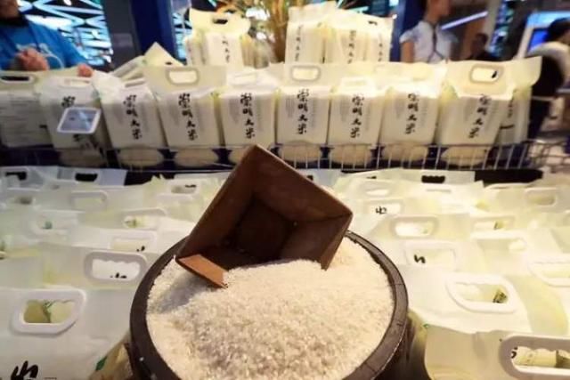 不用化学肥料、不施化学农药,崇明两无化大米