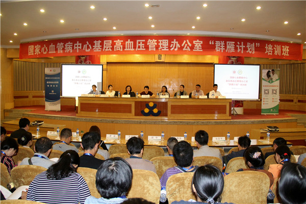 罗平基本公共卫生服务基层高血压管理试点工作