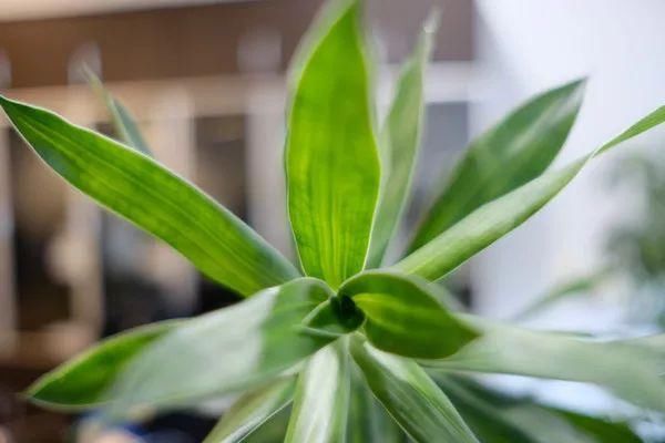 富士X-T20和X-E3不知如何选?看完这篇就明白