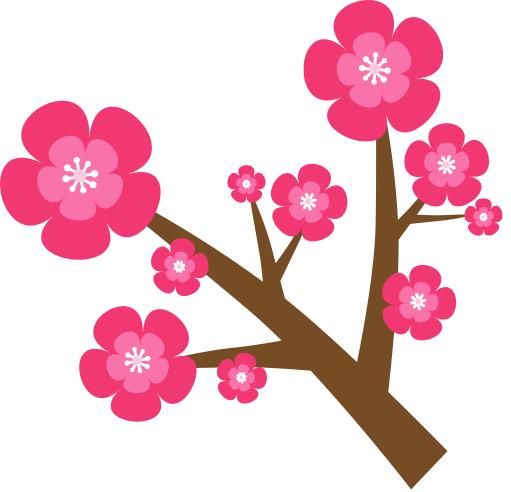 两会百科选举国家机关领导人员的程序包括哪些