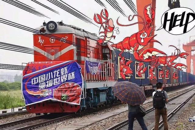 谁说中国队缺席了世界杯?中国资本笑傲世界