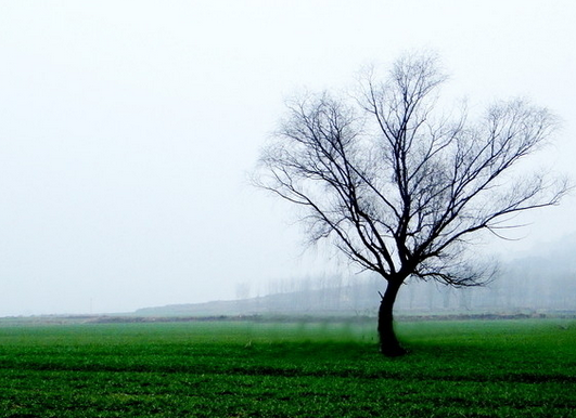90后面临的生存压力到底有多大?极限运动咏宁