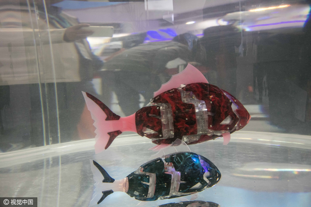 工作人员称目前该机器人鱼并没有量产,只接受定制,普通的鱼价格也得十几万元一条。