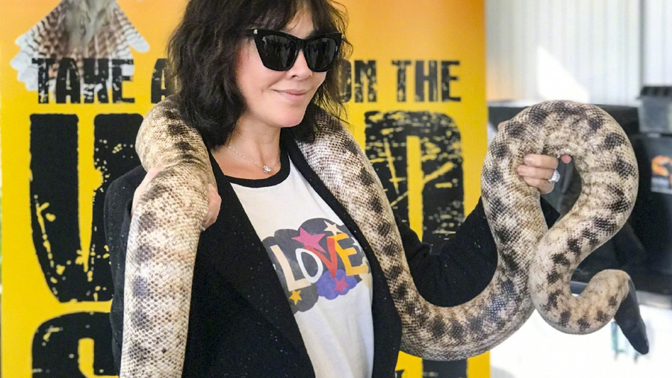 刘嘉玲澳洲度假与动物亲密同框 手举鳄鱼肩缠蟒蛇超大胆