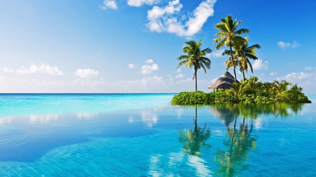 瞬间能降5℃!清凉壁纸制冷效果堪比空调!