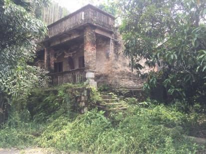 一农二代村官谈乡村振兴,根本在人,村民没收益