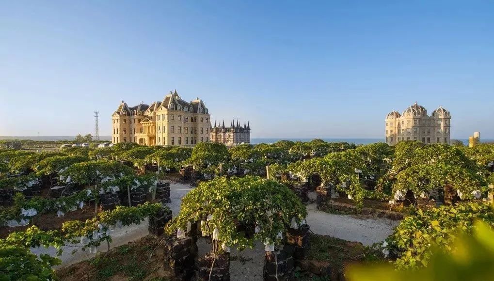 《西虹市首富》电影里,一晚60万的城堡酒店,原