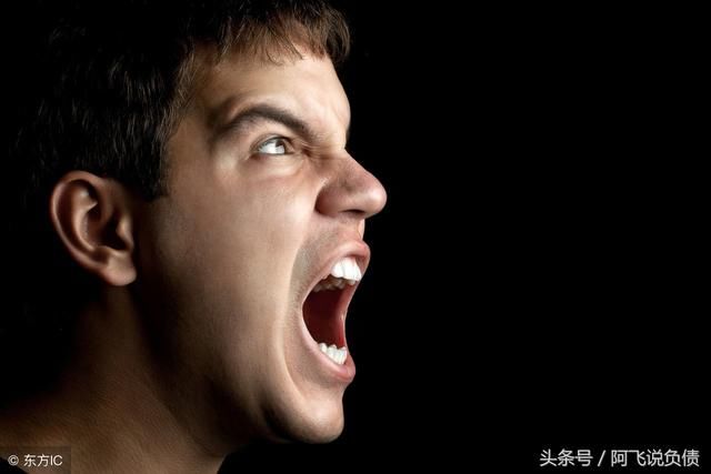 你遭受到了以下哪个网贷平台的暴力催收?请说