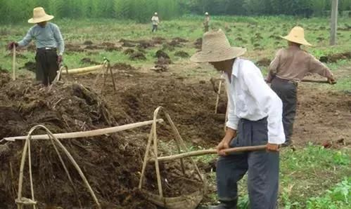 农业部推进有机肥补贴政策,每个试点补贴300万