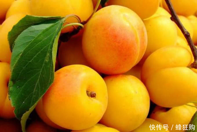 酸甜可口的杏子虽好,但很多人都不知道