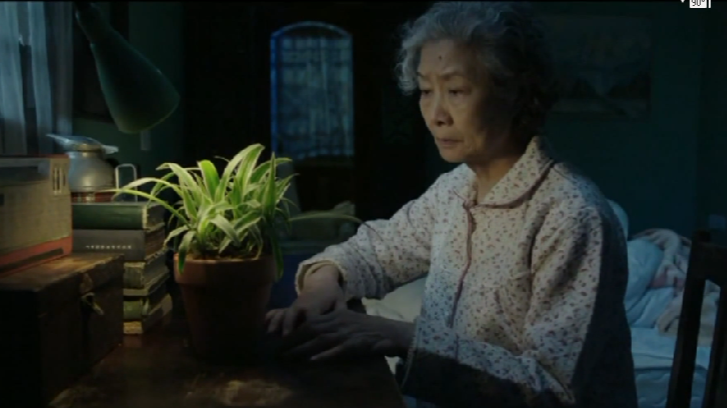 “共筑中国梦”作品展播《兰草时节》 “共筑中国梦”作品展播《兰草时节》