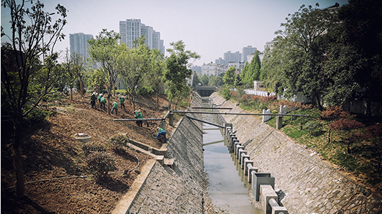 整治完19条黑臭河道后 他们还请来"沟渠管家"