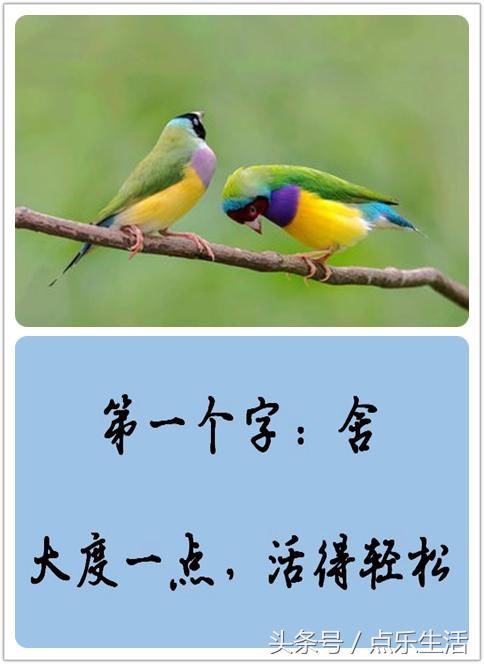 9个字，写尽一生!